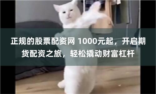 正规的股票配资网 1000元起，开启期货配资之旅，轻松撬动财富杠杆