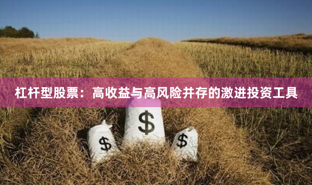 杠杆型股票：高收益与高风险并存的激进投资工具